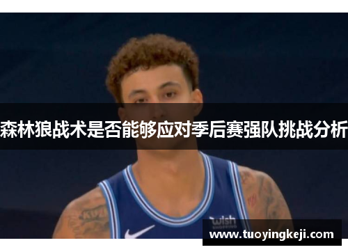 森林狼战术是否能够应对季后赛强队挑战分析