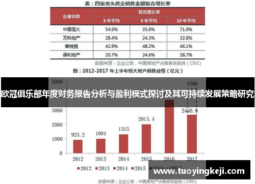 欧冠俱乐部年度财务报告分析与盈利模式探讨及其可持续发展策略研究